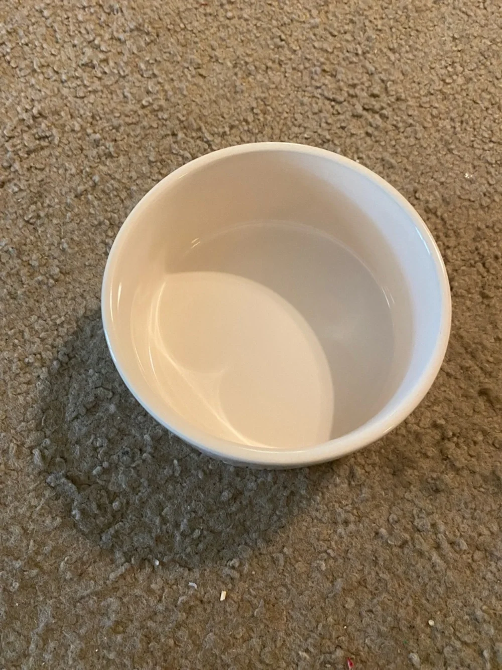 Rae Dunn White Cocker Spaniel Ceramic Dog Bowl